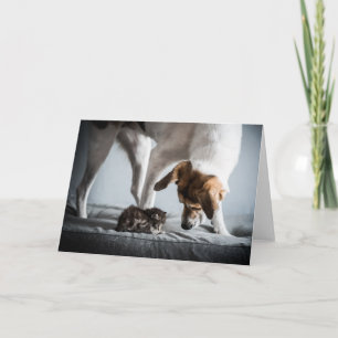 Cutest Baby Animals Baby Kitten & Dog Card