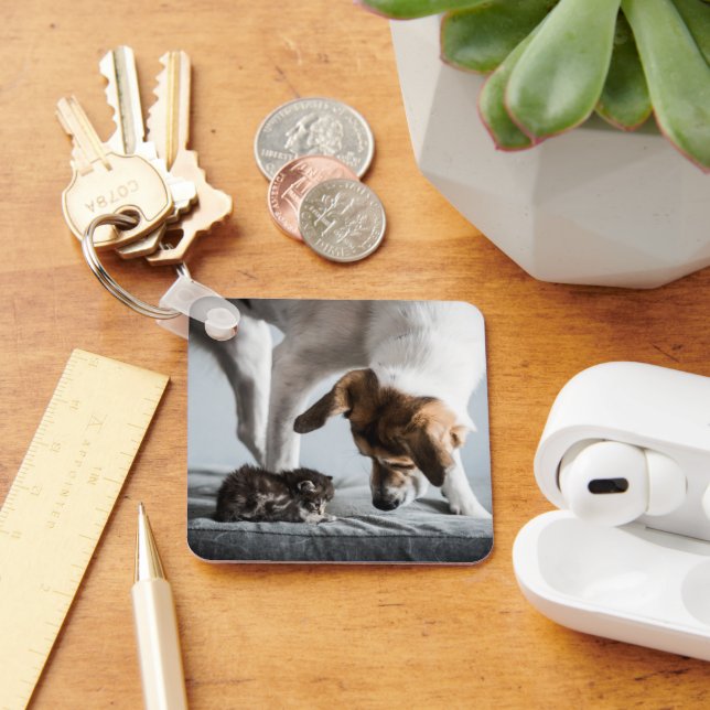 Cutest Baby Animals | Baby Kitten & Dog Key Ring (Desk)