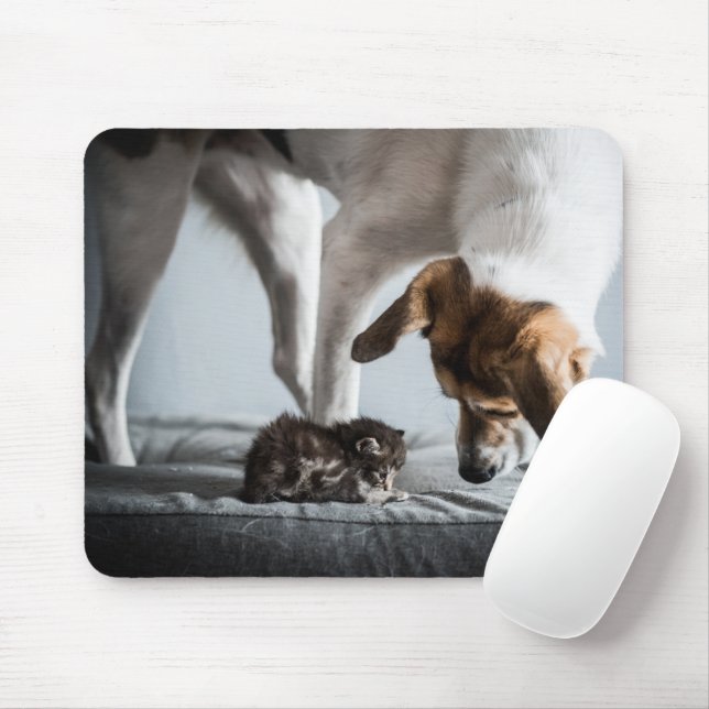 Cutest Baby Animals | Baby Kitten & Dog Mouse Mat (With Mouse)