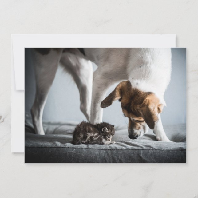 Cutest Baby Animals | Baby Kitten & Dog Thank You Card (Front)