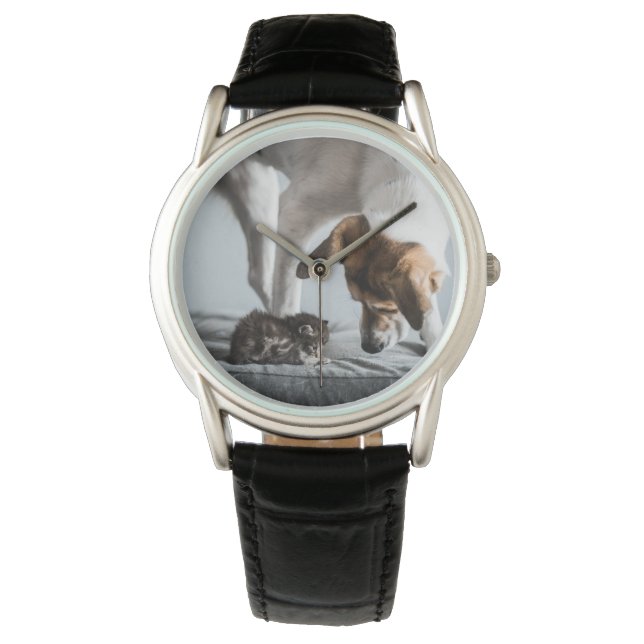 Cutest Baby Animals | Baby Kitten & Dog Watch (Front)