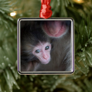 Cutest Baby Animals Baby Macaque Monkey & Mother Metal Tree Decoration