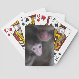 Cutest Baby Animals Baby Macaque Monkey & Mother Playing Cards