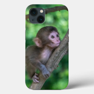 Cutest Baby Animals   Baby Monkey iPhone 13 Case