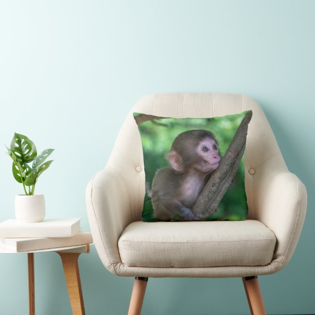 Cutest Baby Animals | Baby Monkey Cushion (Chair)