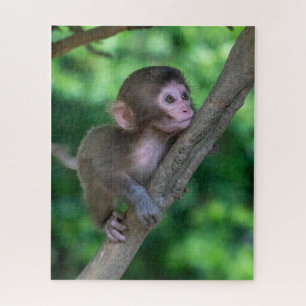 Cutest Baby Animals   Baby Monkey Jigsaw Puzzle