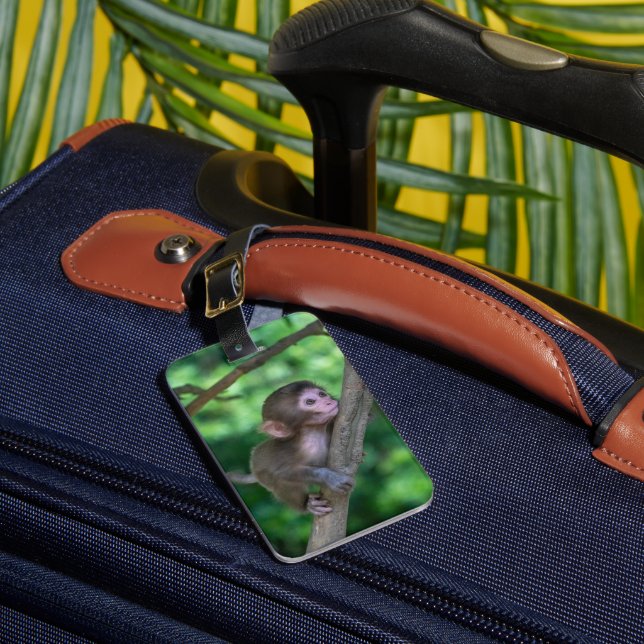 Cutest Baby Animals | Baby Monkey Luggage Tag (Front Insitu 1)