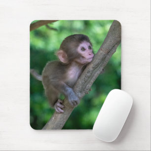 Cutest Baby Animals   Baby Monkey Mouse Mat