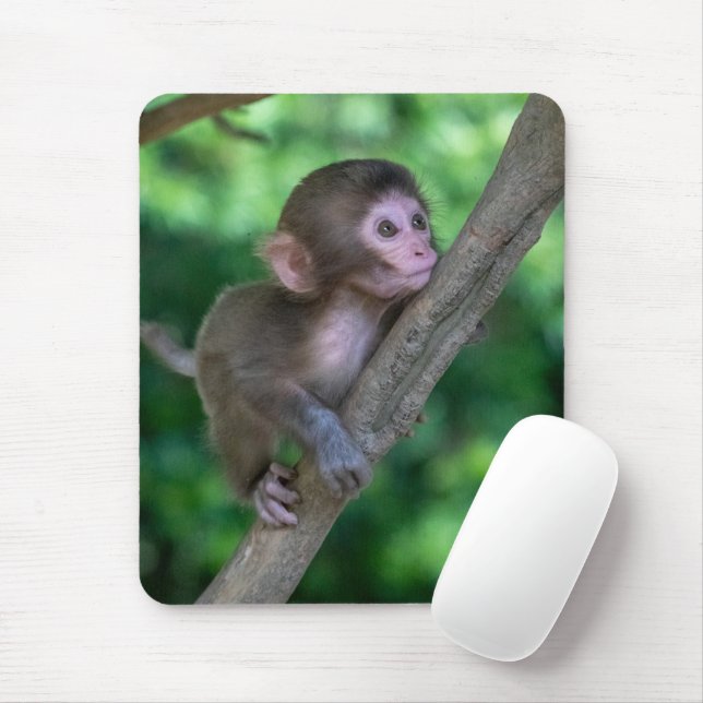 Cutest Baby Animals | Baby Monkey Mouse Mat (With Mouse)