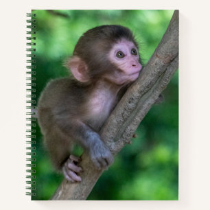 Cutest Baby Animals Baby Monkey Notebook