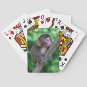 Cutest Baby Animals Baby Monkey Playing Cards