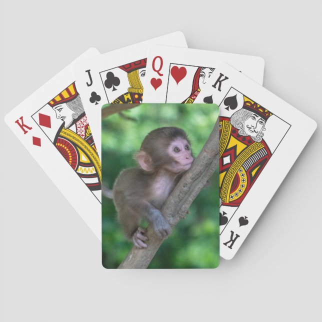 Cutest Baby Animals | Baby Monkey Playing Cards (Back)