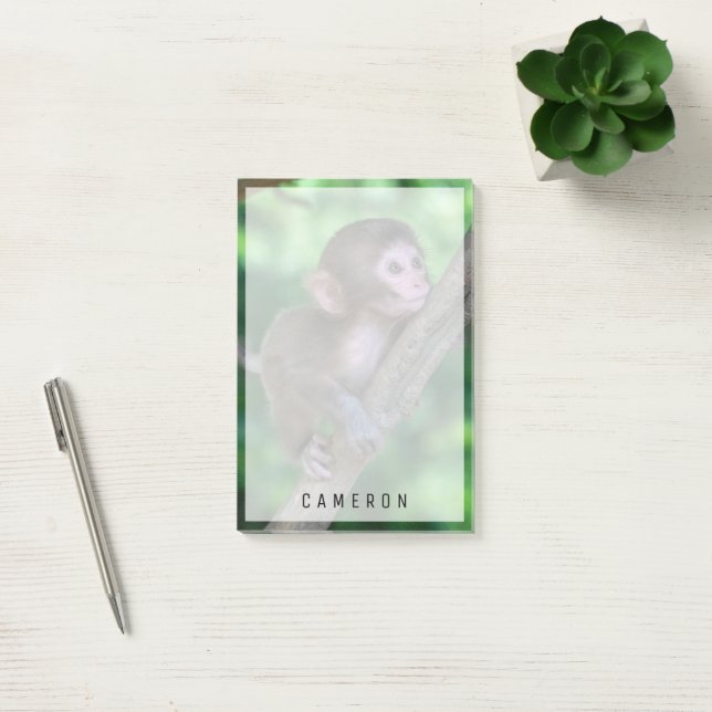 Cutest Baby Animals | Baby Monkey Post-it Notes (Office)