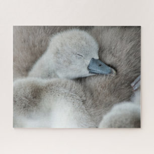 Cutest Baby Animals Baby Mute Swan Jigsaw Puzzle