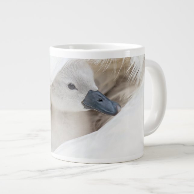 Cutest Baby Animals | Baby Mute Swan Large Coffee Mug (Front Right)