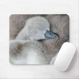 Cutest Baby Animals   Baby Mute Swan Mouse Mat
