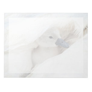 Cutest Baby Animals   Baby Mute Swan Notepad