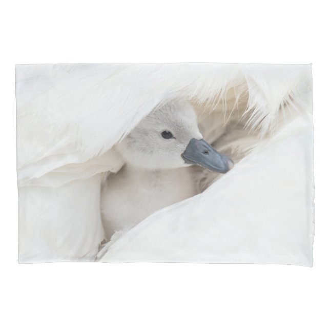 Cutest Baby Animals | Baby Mute Swan Pillowcase (Front)