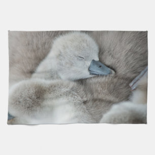 Cutest Baby Animals   Baby Mute Swan Tea Towel