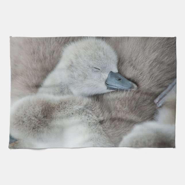 Cutest Baby Animals | Baby Mute Swan Tea Towel (Horizontal)