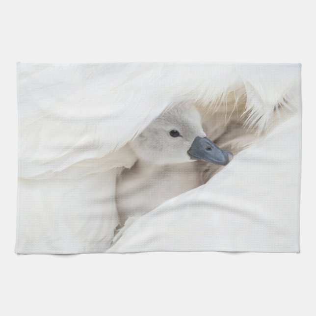 Cutest Baby Animals | Baby Mute Swan Tea Towel (Horizontal)