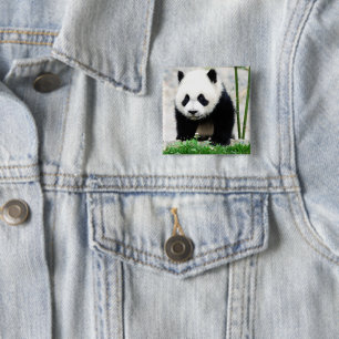 Cutest Baby Animals   Baby Panda Bear 15 Cm Square Badge