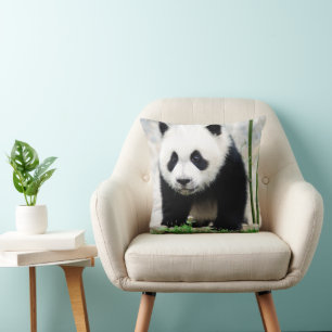Cutest Baby Animals   Baby Panda Bear Cushion