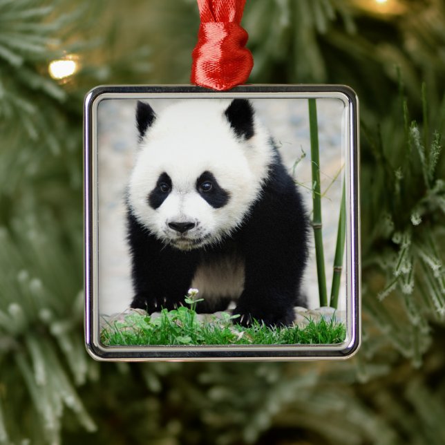 Cutest Baby Animals | Baby Panda Bear Metal Tree Decoration (Tree)