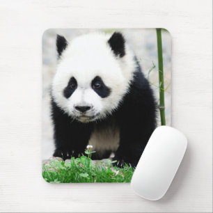 Cutest Baby Animals   Baby Panda Bear Mouse Mat
