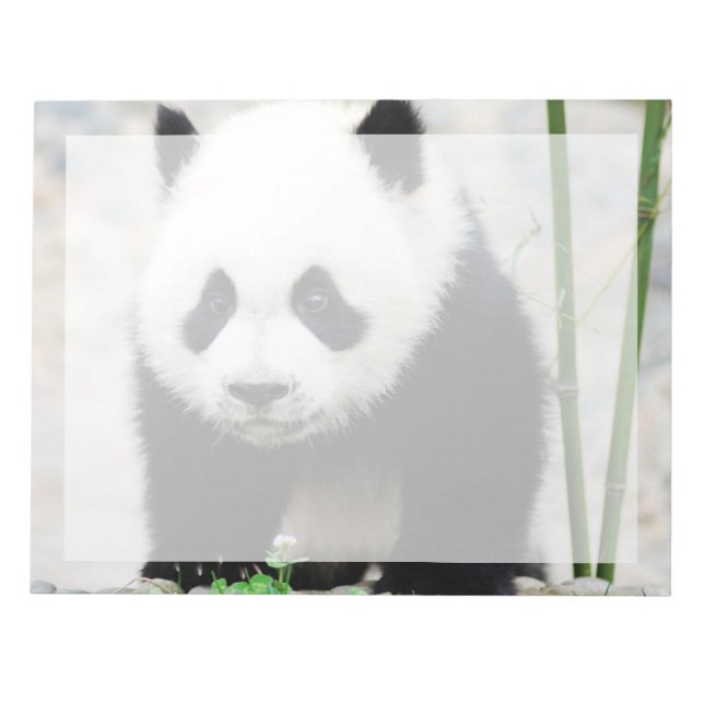 Cutest Baby Animals | Baby Panda Bear Notepad (Front)