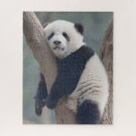Cutest Baby Animals | Baby Panda Bear Sleeping Jigsaw Puzzle<br><div class="desc">This cute Getty Images photo features a baby panda sleeping in a tree.</div>