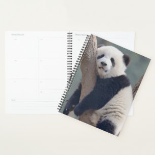 Cutest Baby Animals Baby Panda Bear Sleeping Planner