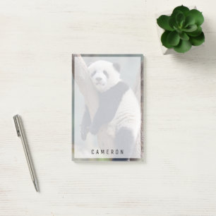 Cutest Baby Animals Baby Panda Bear Sleeping Post-it Notes