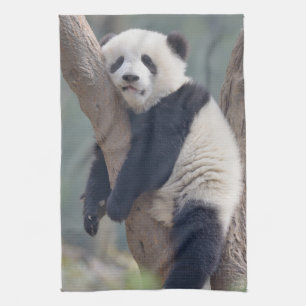 Cutest Baby Animals Baby Panda Bear Sleeping Tea Towel