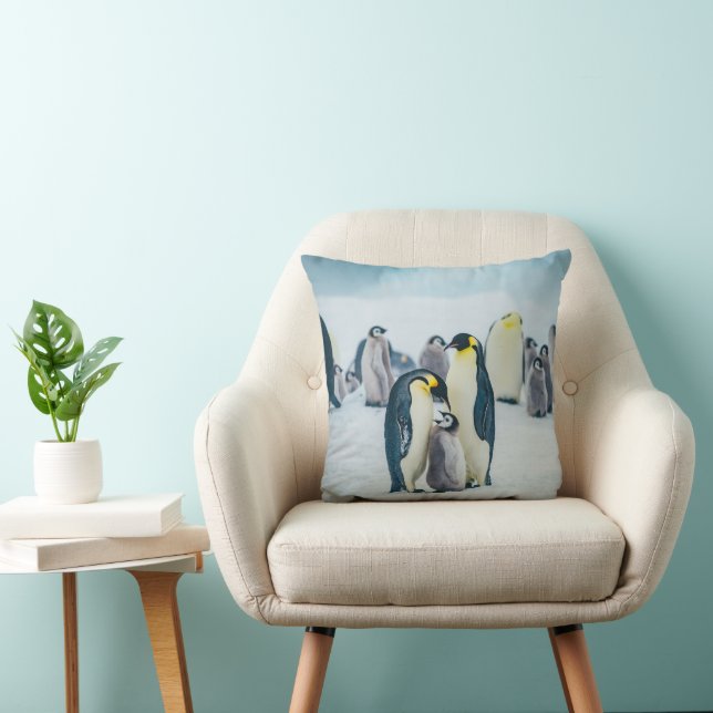 Cutest Baby Animals | Baby Penguin Feeding Cushion (Chair)
