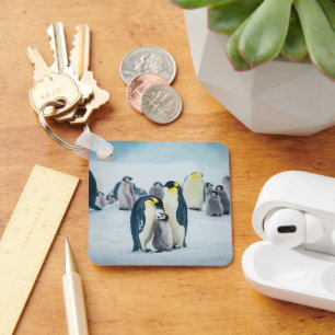 Cutest Baby Animals   Baby Penguin Feeding Key Ring