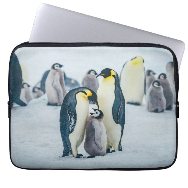 Cutest Baby Animals | Baby Penguin Feeding Laptop Sleeve (Front)