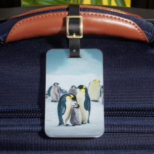 Cutest Baby Animals   Baby Penguin Feeding Luggage Tag