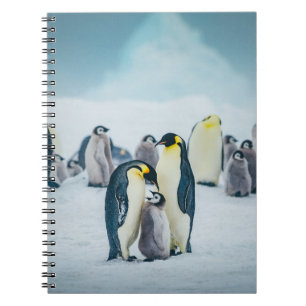 Cutest Baby Animals Baby Penguin Feeding Notebook