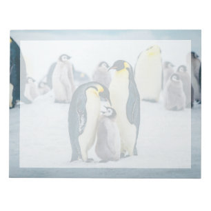 Cutest Baby Animals Baby Penguin Feeding Notepad