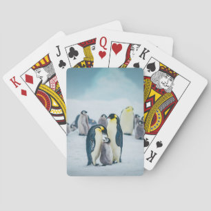 Cutest Baby Animals Baby Penguin Feeding Playing Cards
