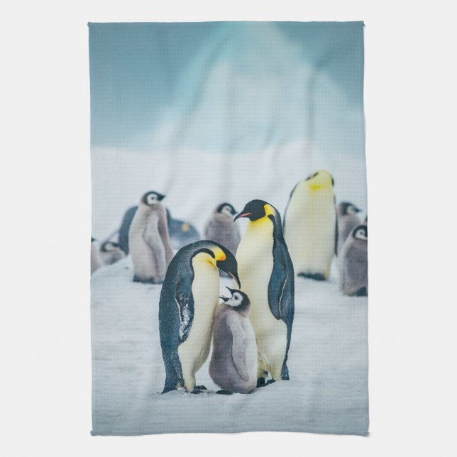 Cutest Baby Animals | Baby Penguin Feeding Tea Towel (Vertical)