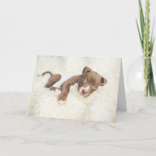 Cutest Baby Animals   Baby Pit Bull Puppy Card