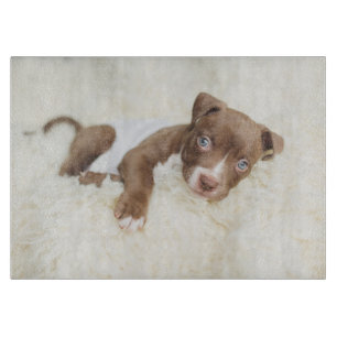 Cutest Baby Animals Baby Pit Bull Puppy Cutting Board