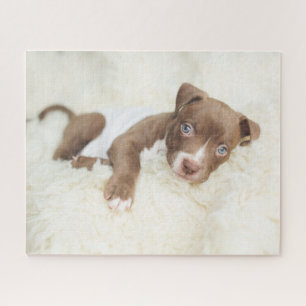 Cutest Baby Animals   Baby Pit Bull Puppy Jigsaw Puzzle