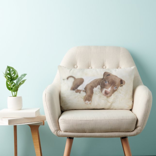 Cutest Baby Animals | Baby Pit Bull Puppy Lumbar Cushion (Chair)