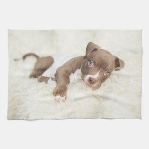 Cutest Baby Animals   Baby Pit Bull Puppy Tea Towel