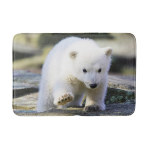 Cutest Baby Animals   Baby Polar Bear Cub Bath Mat