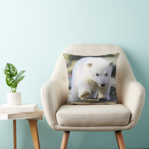 Cutest Baby Animals   Baby Polar Bear Cub Cushion