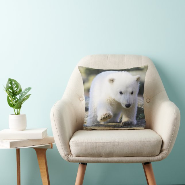 Cutest Baby Animals | Baby Polar Bear Cub Cushion (Chair)